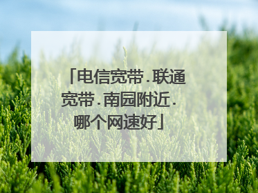 电信宽带.联通宽带.南园附近.哪个网速好