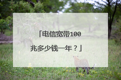电信宽带100兆多少钱一年?