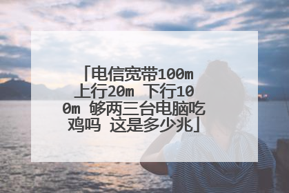 电信宽带100m 上行20m 下行100m 够两三台电脑吃鸡吗 这是多少兆