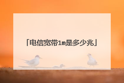 电信宽带1m是多少兆