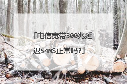 电信宽带300兆延迟54MS正常吗?