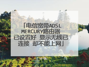 电信宽带ADSL MERCURY路由器已设置好 显示无线已连接 却不能上网
