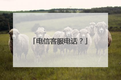 电信客服电话？