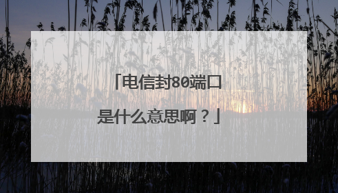 电信封80端口是什么意思啊?