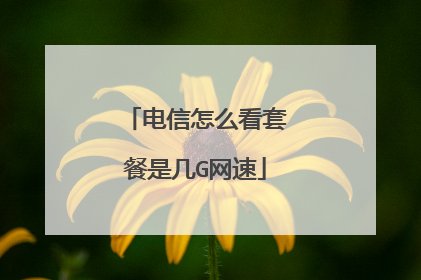 电信怎么看套餐是几G网速