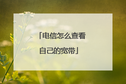 电信怎么查看自己的宽带