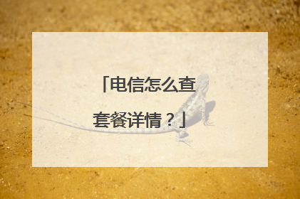 电信怎么查套餐详情?