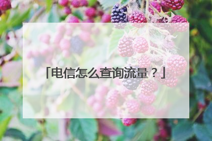 电信怎么查询流量?
