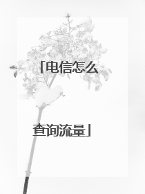电信怎么查询流量