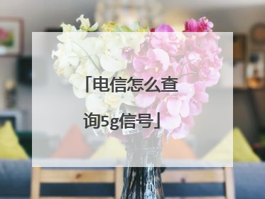 电信怎么查询5g信号