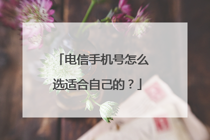 电信手机号怎么选适合自己的？