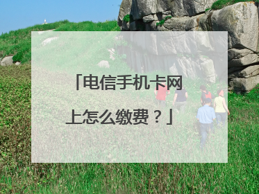 电信手机卡网上怎么缴费?