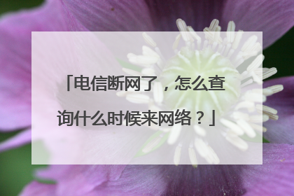 电信断网了,怎么查询什么时候来网络?