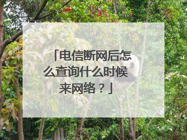 电信断网后怎么查询什么时候来网络?
