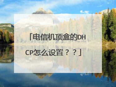 电信机顶盒的DHCP怎么设置??