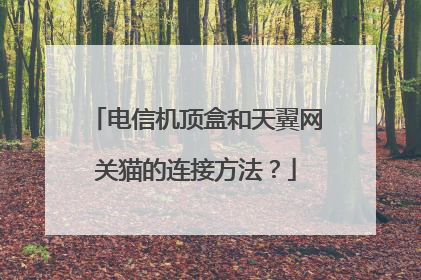 电信机顶盒和天翼网关猫的连接方法?
