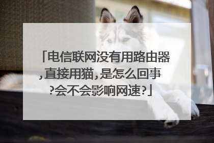 电信联网没有用路由器,直接用猫,是怎么回事?会不会影响网速?