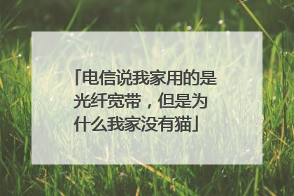 电信说我家用的是 光纤宽带,但是为什么我家没有猫