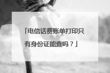 电信话费账单打印只有身份证能查吗？