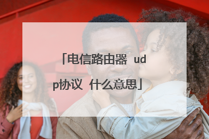 电信路由器 udp协议 什么意思
