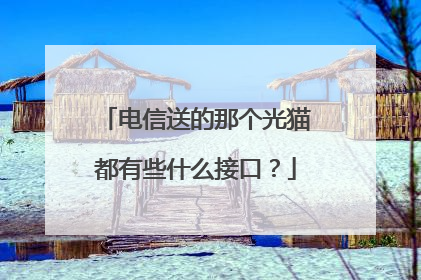 电信送的那个光猫都有些什么接口？