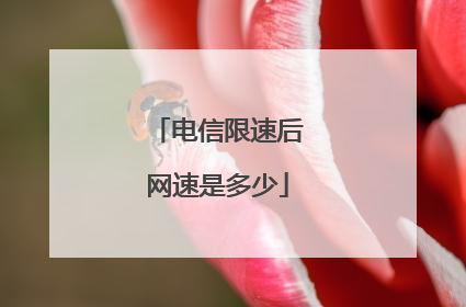 电信限速后网速是多少
