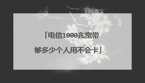电信1000兆宽带够多少个人用不会卡