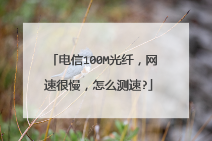 电信100M光纤，网速很慢，怎么测速?