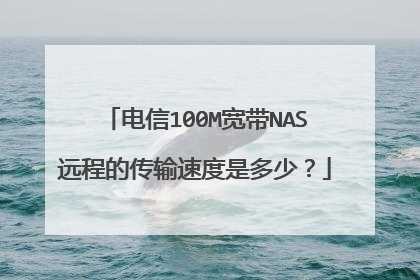 电信100M宽带NAS远程的传输速度是多少?