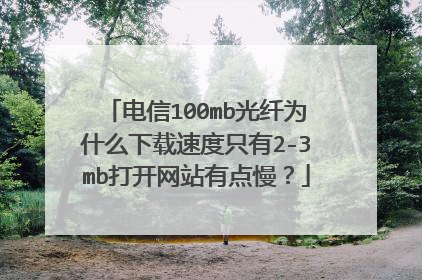 电信100mb光纤为什么下载速度只有2-3mb打开网站有点慢?