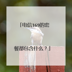 电信169的套餐都包含什么？