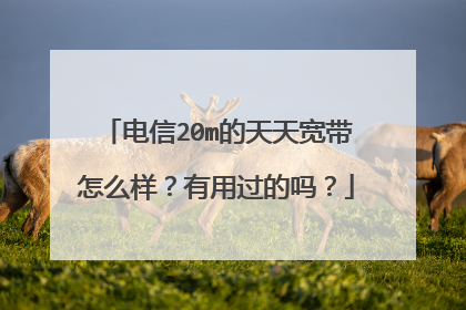 电信20m的天天宽带怎么样?有用过的吗?