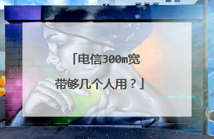 电信300m宽带够几个人用？