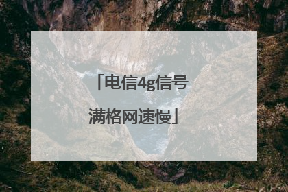 电信4g信号满格网速慢