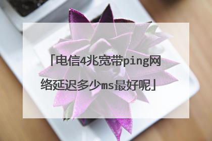 电信4兆宽带ping网络延迟多少ms最好呢