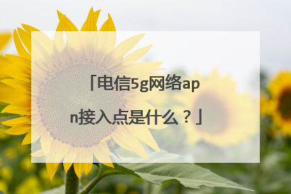 电信5g网络apn接入点是什么?