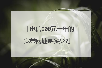 电信600元一年的宽带网速是多少?