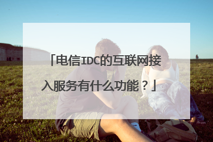 电信IDC的互联网接入服务有什么功能?