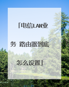 电信LAN业务 路由器到底怎么设置
