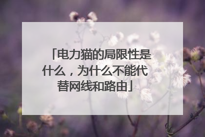 电力猫的局限性是什么,为什么不能代替网线和路由