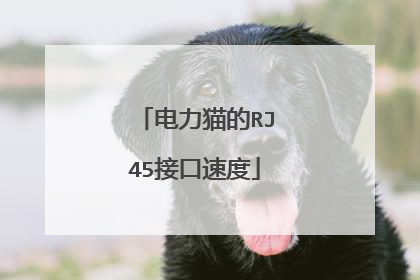 电力猫的RJ45接口速度