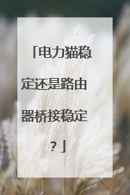 电力猫稳定还是路由器桥接稳定？