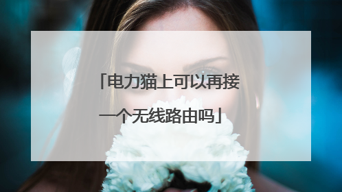电力猫上可以再接一个无线路由吗