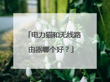 电力猫和无线路由器哪个好?