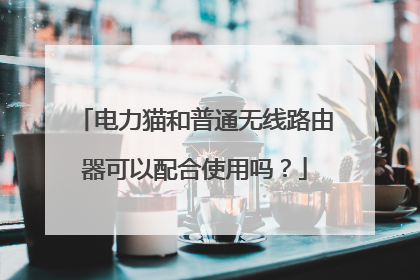 电力猫和普通无线路由器可以配合使用吗？