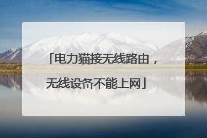 电力猫接无线路由，无线设备不能上网