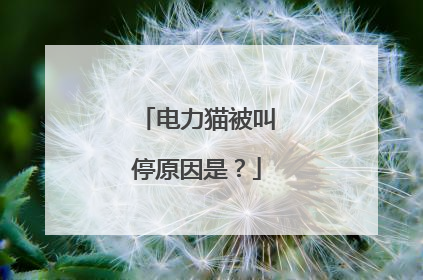 电力猫被叫停原因是?