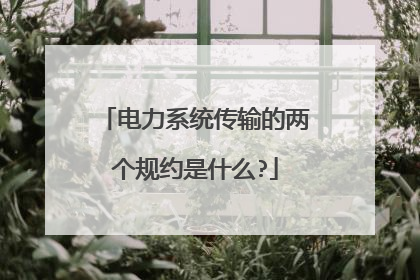 电力系统传输的两个规约是什么?