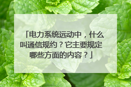 电力系统远动中，什么叫通信规约？它主要规定哪些方面的内容？