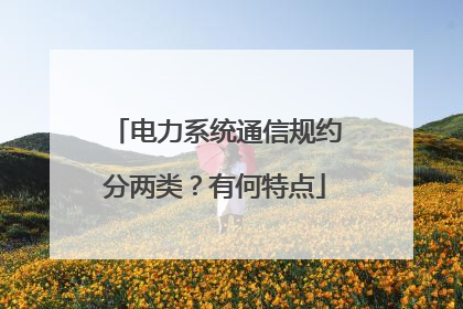 电力系统通信规约分两类？有何特点